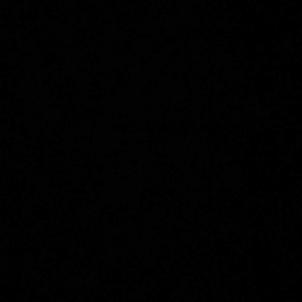 Meet your Posher, Bailey